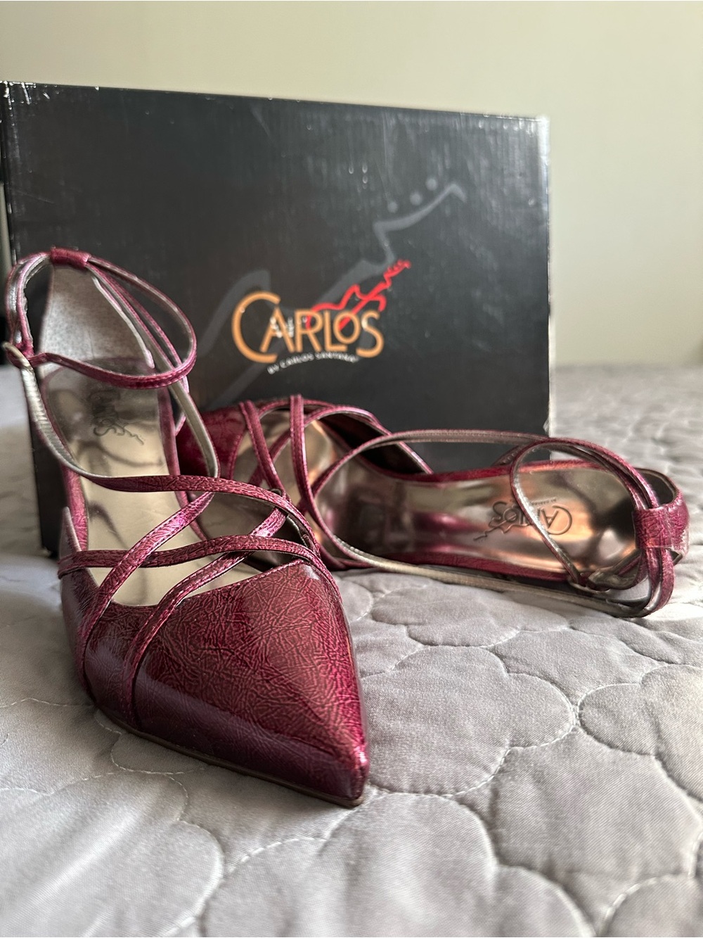 Carlos Santana Burgundy Strappy Pointed-Toe Womens Heels NWT in box